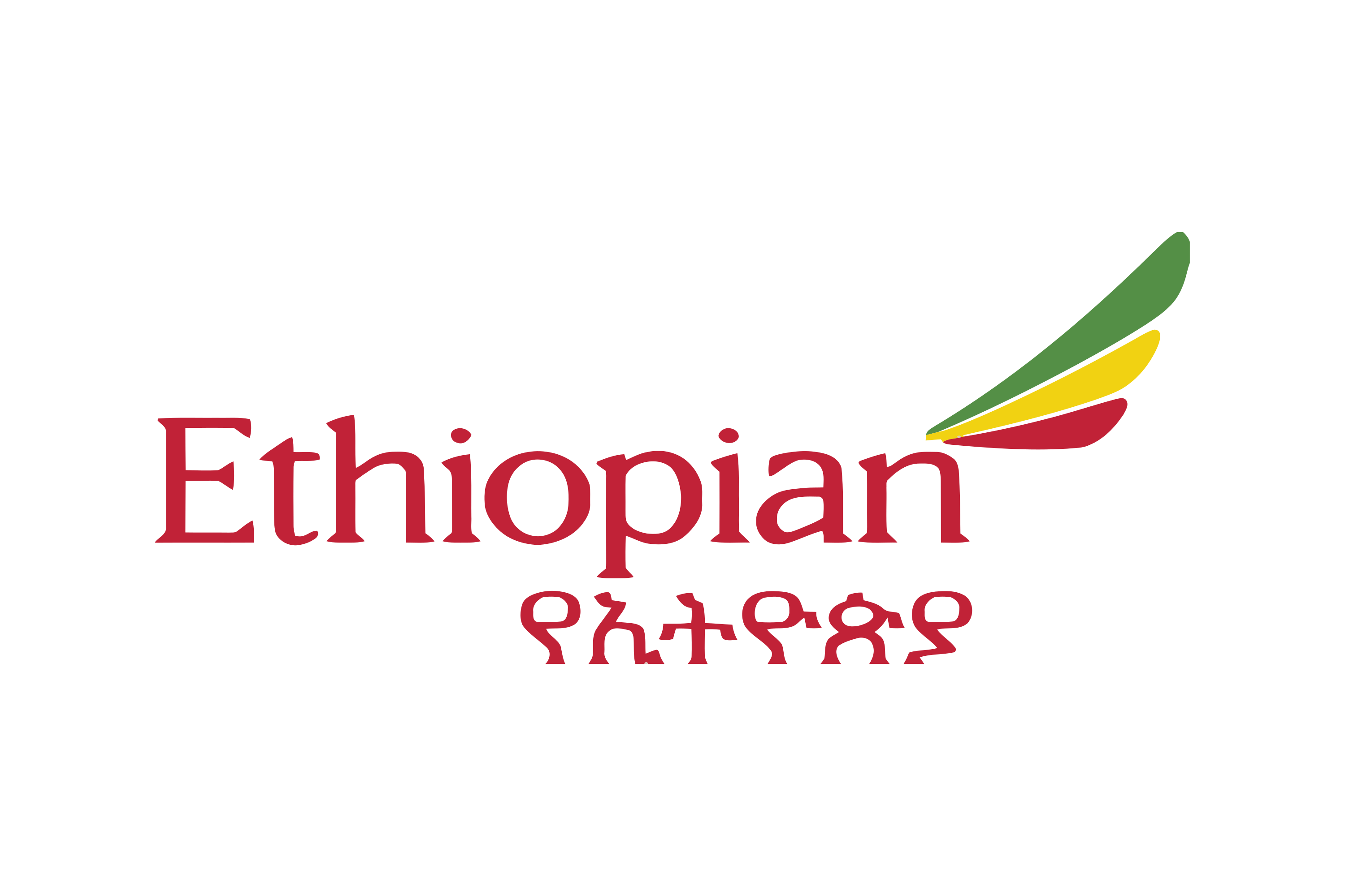 Ethiopian_Airlines-Logo.wine